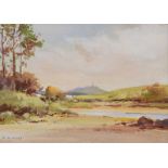 Maurice Canning Wilks, ARHA RUA - AT MAHEE ISLAND, STRANGFORD LOUGH - Watercolour Drawing - 5 x 7