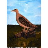 Patsy Dan Rodgers - TORY ISLAND CORNCRAKE - Oil on Board - 8 x 6 inches - Signed