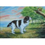 Leo Casement - SPRINGER SPANIEL - Oil on Board - 16 x 22 inches - Signed