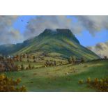 David Overend - LURIG MOUNTAIN, CUSHENDALL, COUNTY ANTRIM - Oil on Canvas - 16 x 22 inches - Signed