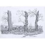 Ian Bruce Marr - ASH TRESS AT STRADREAGH, COUNTY DERRY - Pencil on Paper - 6 x 8 inches - Signed