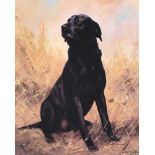 John Trickett - BLACK LABRADOR - Limited Edition Coloured Print (407/850) - 18 x 14 inches - Signed