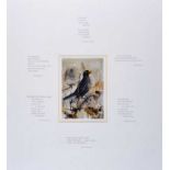 Basil Blackshaw, HRHA HRUA - BLACKBIRD AND POEMS - Colour Print - 23 x 21 inches - Unsigned