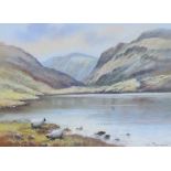 Wendy Reeves - SPRINKLING TARN - Pastel on Paper - 11 x 15 inches - Signed