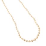 9CT GOLD AND CULTURED PEARL NECKLACE