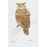 Rowel Friers, HRUA - EAGLE OWL - Watercolour Drawing - 19 x 12 inches - Signed