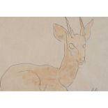 George Campbell, RHA RUA - DEER STUDY - Pen & Ink Drawing with Watercolour Wash - 7 x 10 inches -