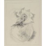 Colin Middleton, RHA RUA - FLOWER STUDY - Pencil on Paper - 10 x 8 inches - Signed in Monogram