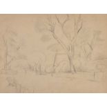 Tom Carr, HRHA HRUA RWS - IN THE PARK - Pencil on Paper - 7 x 10 inches - Unsigned