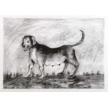 Rita Duffy, RUA - HOLMAN HOUND - Charcoal on Paper - 16 x 24 inches - Signed