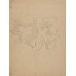 Tom Carr, HRHA HRUA RWS - STUDY OF A TREE - Pencil on Paper - 10 x 7 inches - Unsigned