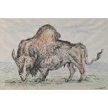 George Campbell, RHA RUA - STUDY OF A BISON - Pen & Ink Drawing with Watercolour Wash - 10 x 14
