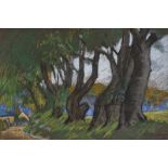 H.E. Broderick - TREE AT STORMONT- Pastel on Paper - 15 x 21 inches - Signed