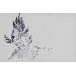 Tom Carr, HRHA RUA RWS - FIR TREE - Pen & Ink Drawing - 4.5 x 7 inches - Unsigned