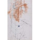 Tom Carr, HRHA RUA RWS - TREE BRANCH - Pen & Ink Drawing with Pastel - 7 x 4.5 inches - Unsigned