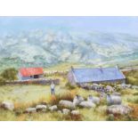 Noel Shaw - TENDING THE SHEEP IN GLENARIFF - Oil on Canvas - 18 x 24 inches - Signed