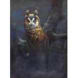 Julian Friers, RUA - STUDY OF AN OWL - Oil on Canvas - 16 x 12 inches - Signed