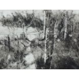 Diana Armfield RA NEAC RWS, British b.1920- Path Through the Aspens; etching, signed, inscribed,