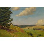 German School, early-mid 20th century- Rural landscape with woodland and fields; oil on canvas,