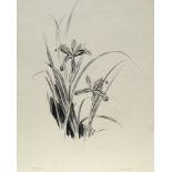 Eileen Alice Soper RMS, British 1905-1990- Badgers feeding and Harvest Mouse; conté, signed, 19x25.