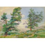 Lucile Jacquier, French, late 19th/early 20th century- Alpine trees; watercolour, signed in