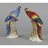 A pair of Sitzendorf parrots, early/mid 20th century, each modelled perching on realistically
