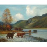 Jameson Lainge, British, late 19th/early 20th century- Highland cattle in a stream; oil on canvas,