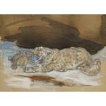 William Walls RSA RSW, Scottish 1860-1942- Leopard and cubs; pencil, gouache and watercolour, signed