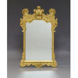 A George I style gilt wood mirror, 20th Century, the carved cresting with ostrich feathers flanked