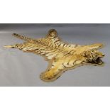 A tiger skin, early 20th century, mounted by Theobald Bros. Mysore, India, with taxidermy head,