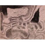 Carroll Dunham, American, b.1949- Touching Two Sides; etching, signed, dated 1990 and numbered 11/52