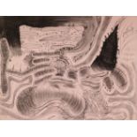 Carroll Dunham, American, b.1949- Touching Two Sides; etching, signed, dated 1990 and numbered 38/52