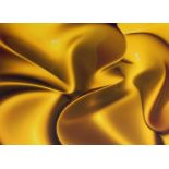 John Clive, British, late 20th/early 21st century- Yellow 3; digital print in yellow, signed,