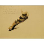 Archibald Thorburn FZS, Scottish 1860-1935- Study of a cat's paw; watercolour on buff coloured