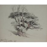 George Cumberland, British 1754-1848- Yew Tree, Long Ashton; pencil and watercolour, signed with