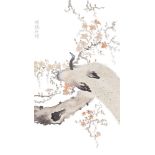 ANONYMOUS, Chinese watercolour on paper, two peacocks perched on a blossoming prunus branch, 41cm