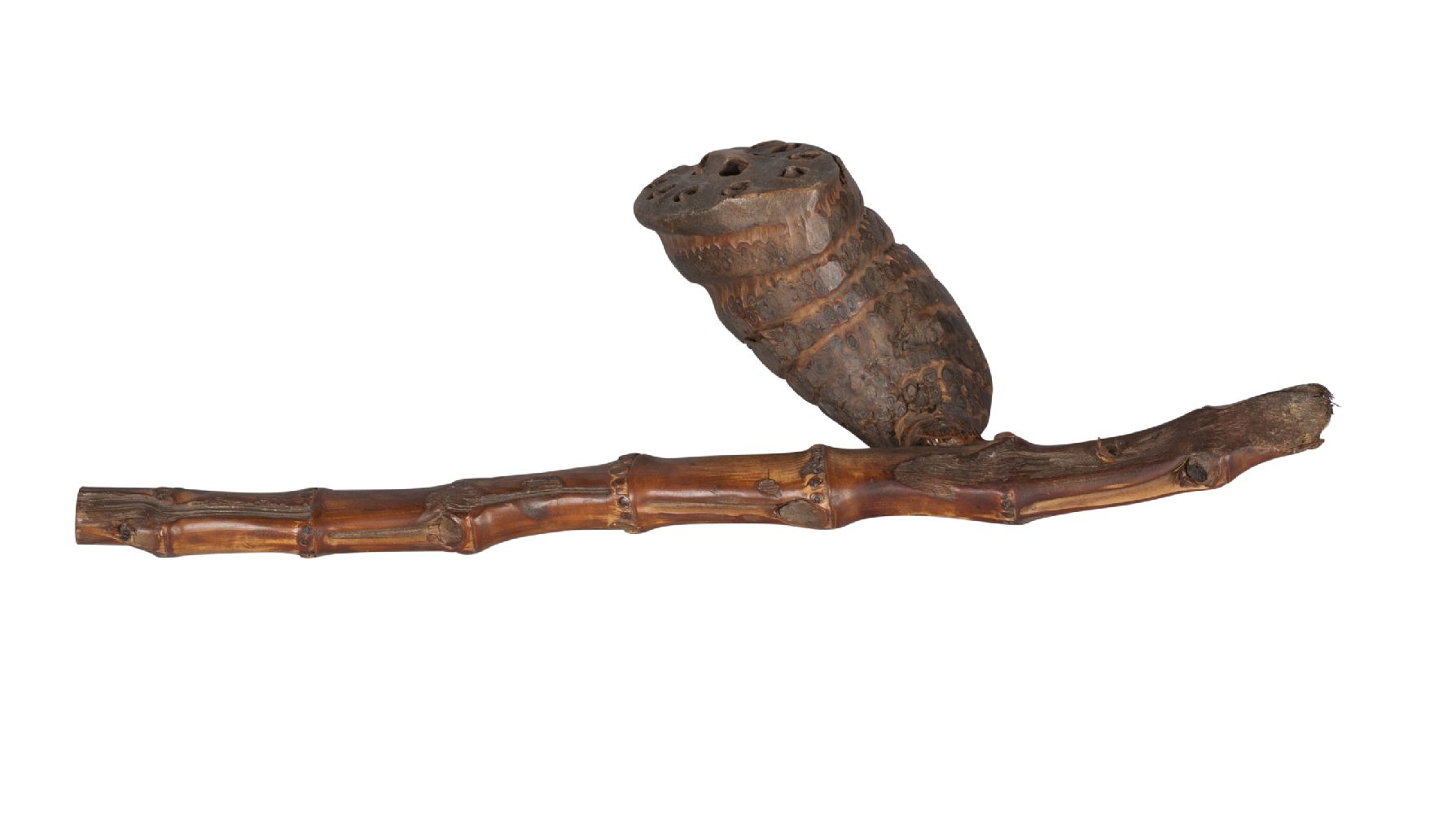 A large bamboo root carving of a lotus pod, late 19th/early 20th century, with long bamboo stalk