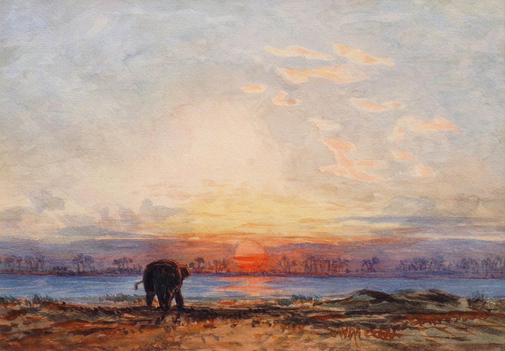 After Eduard Hildebrandt, German 1818-1869- An elephant on the shores of a river at dusk;