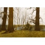Christopher Penny, British 1945-2001- Trees at Windsor; aquatint in colours, signed, titled and