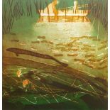 Peter Jones, British, late 20th/early 21st century- Forgotten Fish; etching/aquatint in colours,