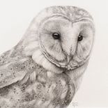 Stephen Walton, British 20th/21st century- Barn Owl; charcoal, signed and dated 06, 15.5x15.5cm, (