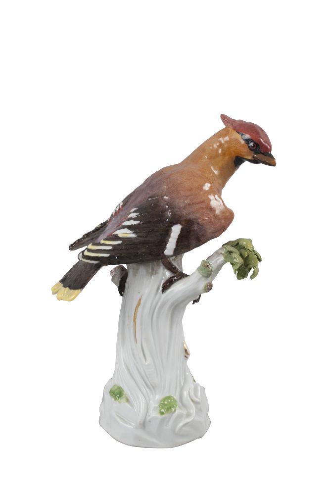 A Meissen porcelain model of a Bohemian waxwing, after a model by J.J Kändler and Ehder, late 19th