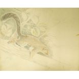 Marie Vorobieff Marevna, Russian 1892-1984- Squrriel sketch, c. 1950; coloured pencil, 47.5x56cm, (
