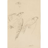 Attributed to Sir William Russell Flint RA PRWS, Scottish 1880-1969- Studies of Falcons; pencil on