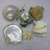A quantity of vintage shell specimens - WITHDRAWN