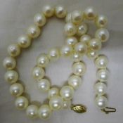 A string of pearls with a 14 ct gold clasp