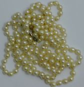 A triple string of pearls with a sterling silver clasp