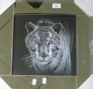 A mirrored picture of a tiger