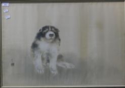 A watercolour of a dog