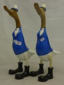 A pair of sailor ducks